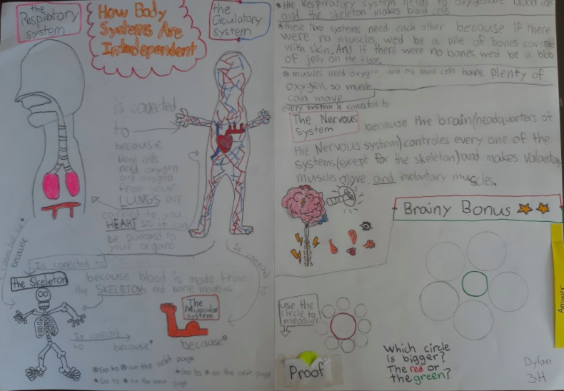 Shammerberg77's tweet photo. Loved hearing learners share via Zoom. Their self-management skills have blown me away. So many amazing videos, podcasts, posters, recipe books and more to demonstrate their understanding of body systems and the lifestyle choices that can affect them @SFS1912 #SFS1912 https://t.co/27hj5EQlrD