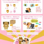 食品送りつける「オンライン飲み会」をやってみた結論は？？楽しくて幸せ!