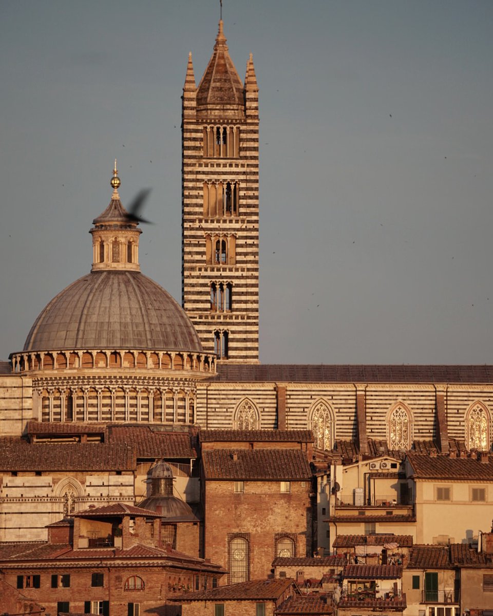 piya79's tweet photo. Siena ❤
#italia️ #Italy #throwback #travel #iloveitaly #travelstories #staysafe #traveldiaries2017 #italian_trips #feelslikehome #tuscany #toscana #siena #sienabrown #weshallovercome #wanderlust #duomodisiena #nofilerneeded #chasingsunsets #sunset #architecturephotography https://t.co/SmfHscydat