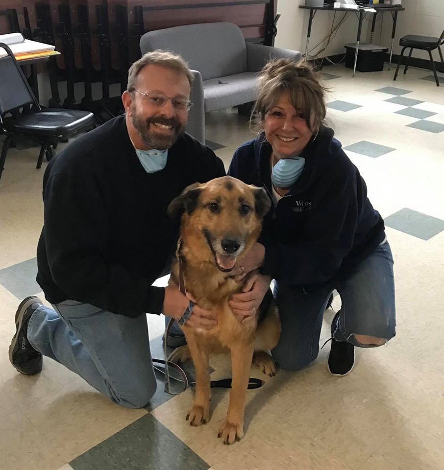 Herman was adopted!!
#STARS #AdoptDontShop #rescue #OpttoAdopt #fureverhome