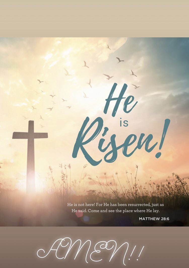 FUSSoftball tweet media