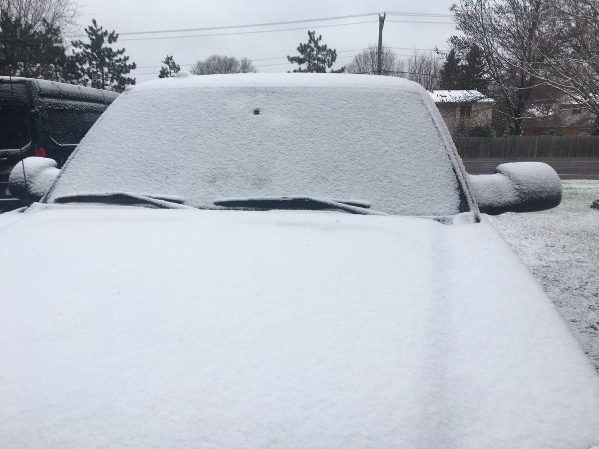 ShadowFoxMT's tweet photo. #MeanwhileInMinnesota https://t.co/esJQ6j7lZN