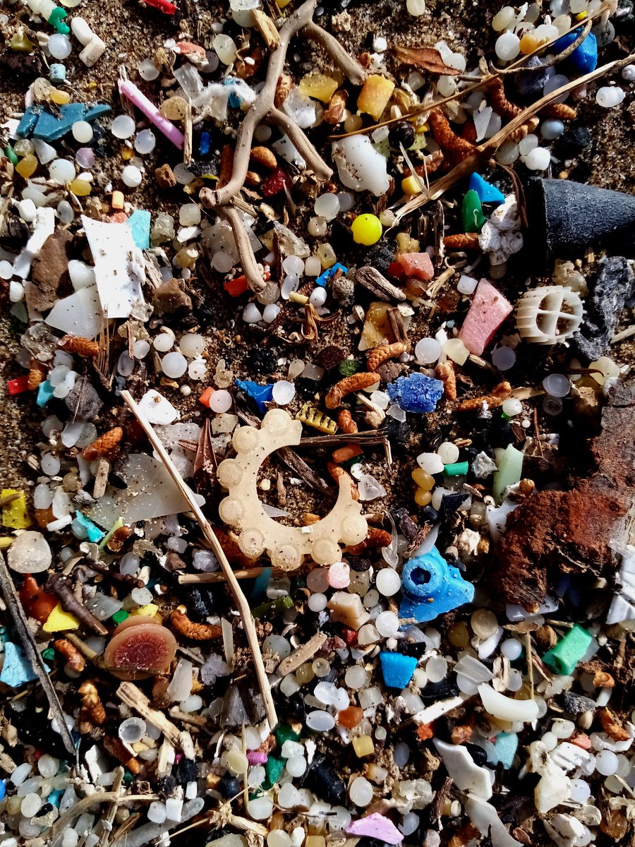I took these pics at a beach in  #Sitges  #Barcelona (before quarantine). I'd been reading  @lucy siegle 's book "Turning The Tide On Plastic" & suspected they were  #nurdles. I spent hours gathering them - it didn't make a dent in it which is heartbreaking. 1)