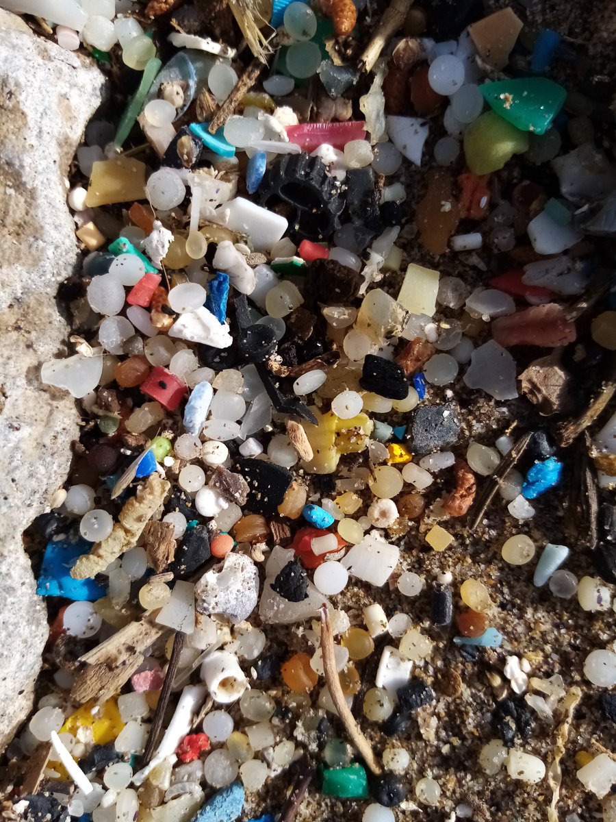 I took these pics at a beach in  #Sitges  #Barcelona (before quarantine). I'd been reading  @lucy siegle 's book "Turning The Tide On Plastic" & suspected they were  #nurdles. I spent hours gathering them - it didn't make a dent in it which is heartbreaking. 1)