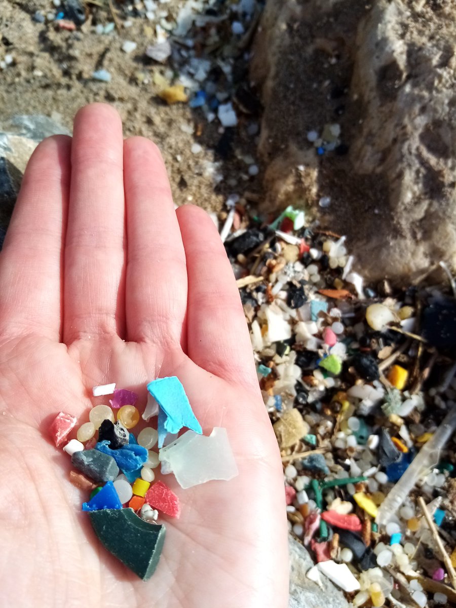 I took these pics at a beach in  #Sitges  #Barcelona (before quarantine). I'd been reading  @lucy siegle 's book "Turning The Tide On Plastic" & suspected they were  #nurdles. I spent hours gathering them - it didn't make a dent in it which is heartbreaking. 1)