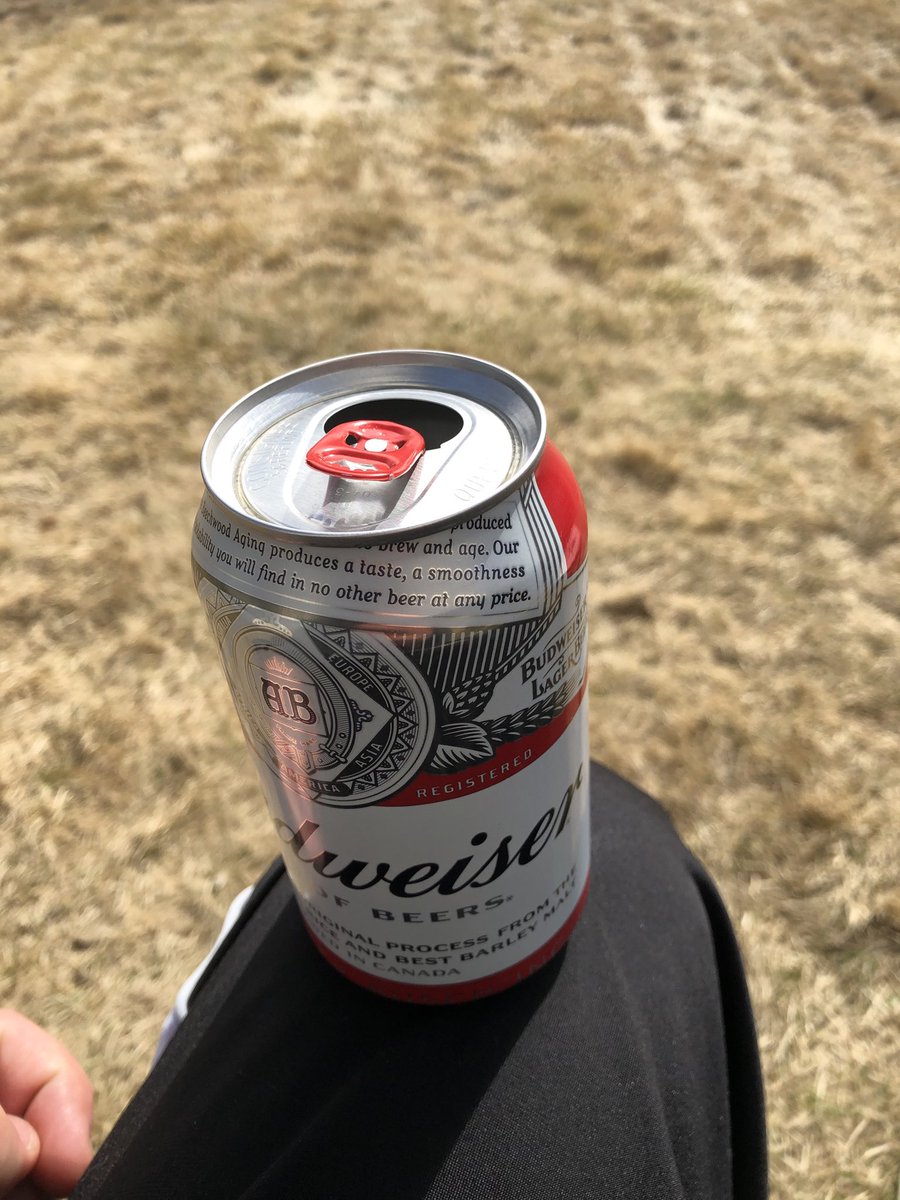derek_allen's tweet photo. Yard picnic #labbatts https://t.co/5UycOgz3NA