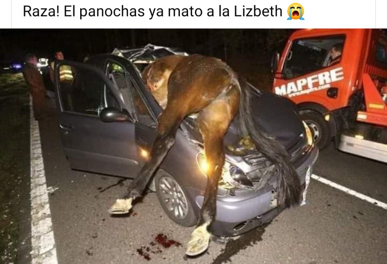 CesarFrancoP_'s tweet photo. @Soylizbethmx https://t.co/sDwKooiBmQ
