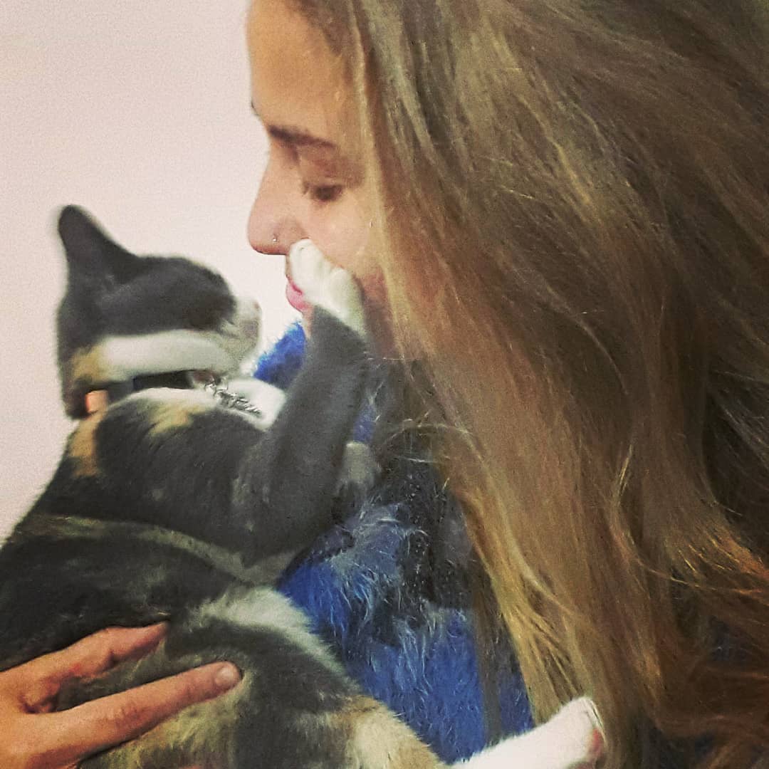 aalfong's tweet photo. ☡ LA PLATA ☡
Necesito que me ayuden a difundir. Es la única forma de dar con quien la tiene. Estoy desesperada buscando a Runa. Se la llevaron de Chascomús en septiembre. El único dato que tengo es que esta allá. NO SE QUÉ ZONA.
OFREZCO RECOMPENSA 🙏 https://t.co/HrzYVgMUTA