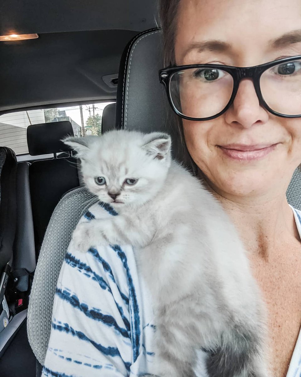 New #Quarantine buddy. Meet Milo. 😻