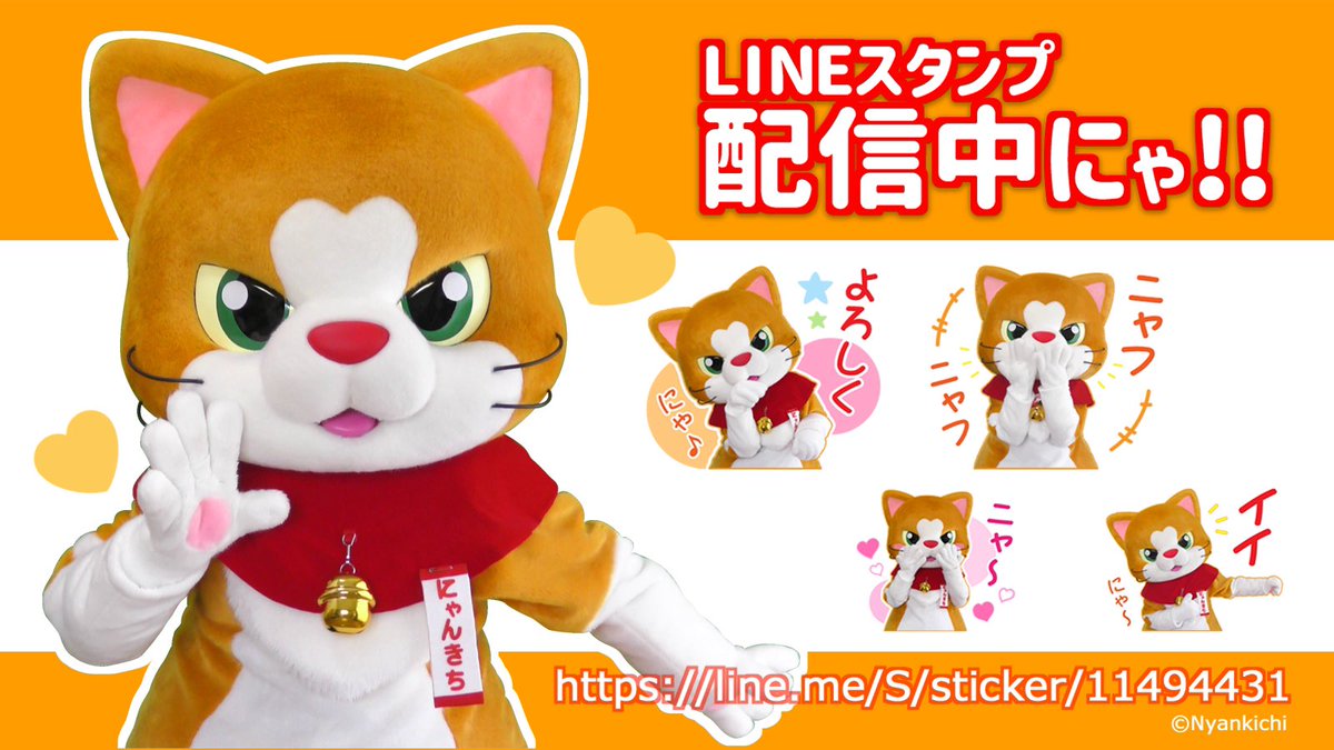 にゃん吉 公式 Nyankichi Official Cat Nyankichi Twitter にゃん吉 公式 Nyankichi Official Cat Nyankichi Twitter