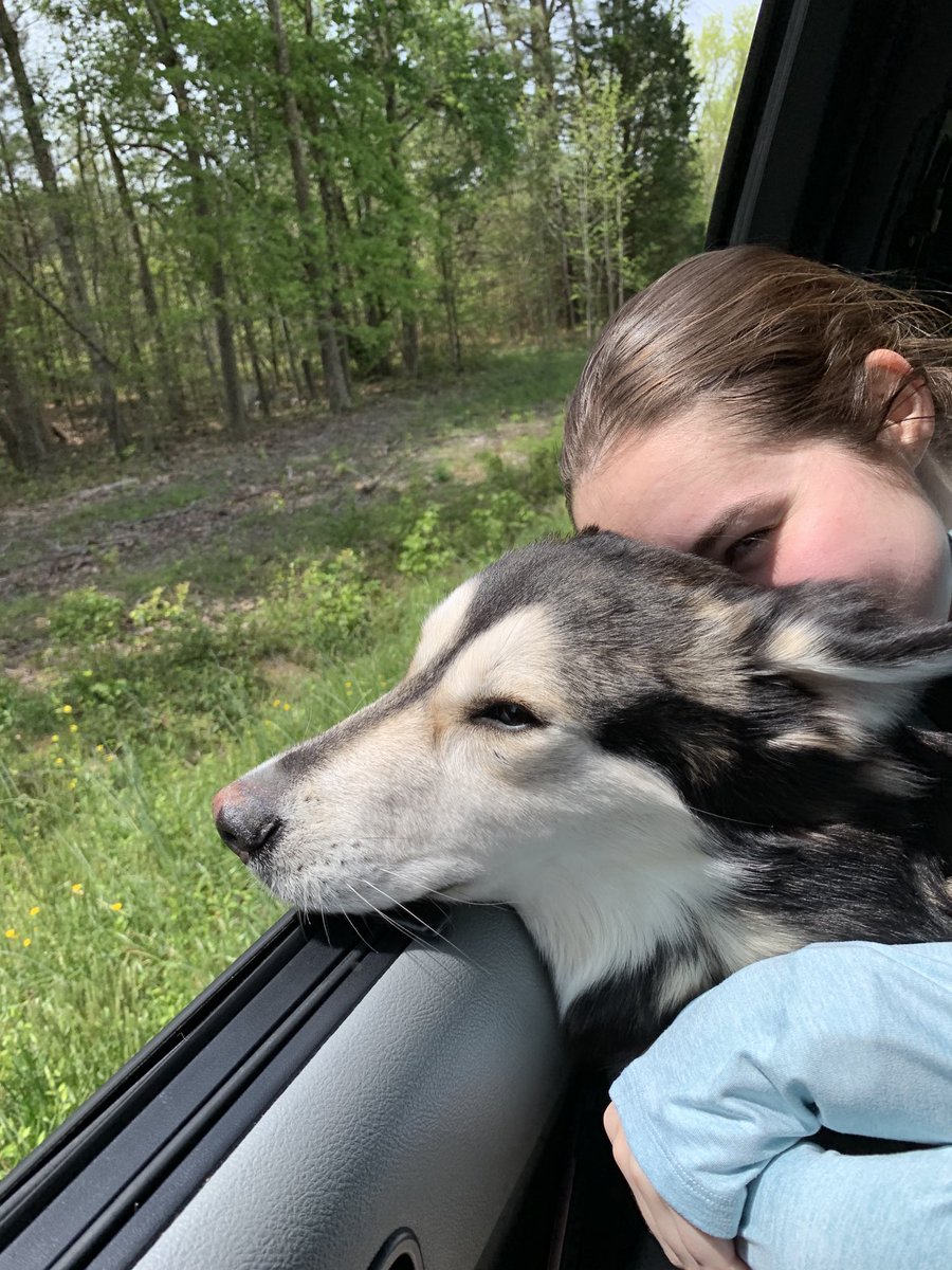 stevebene7's tweet photo. Girl and her dog #Happiness https://t.co/6l8igrqyFf