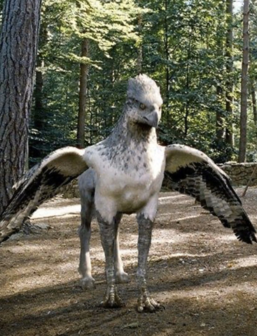 PotterRandom tweet picture