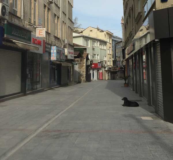 Gebze'ye tam not ama bir şartla!