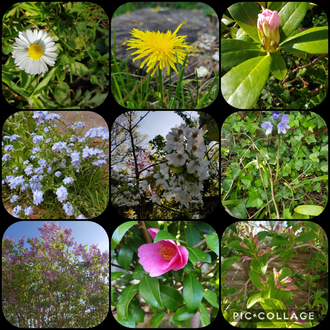 Just a tiny part of this beautiful planet that I'm lucky enough to call home ❤️🍀🌏🌎🌍