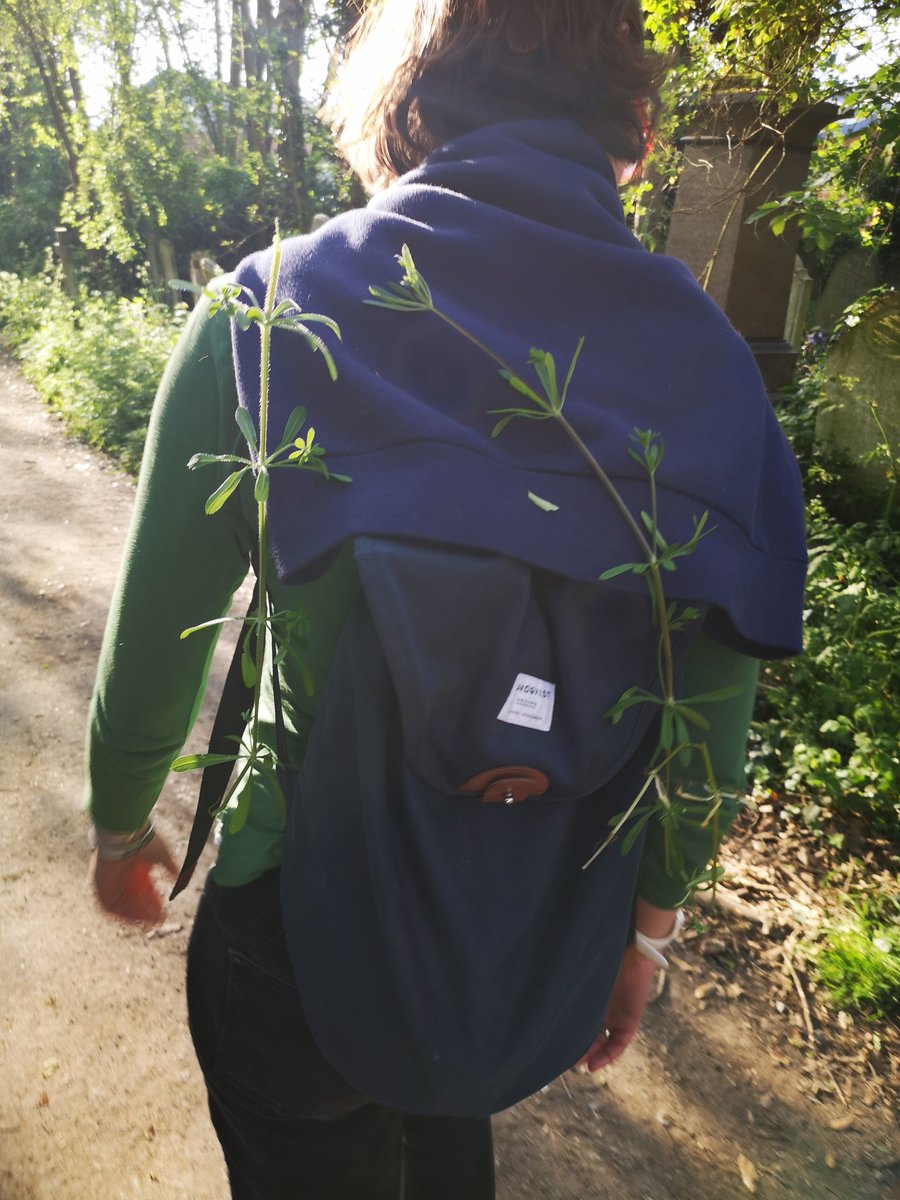 𝘽𝙖𝙧𝙣𝙚𝙮 𝙒𝙤𝙧𝙛𝙤𝙡𝙠-𝙎𝙢𝙞𝙩𝙝 🇺🇦 🦩 tweet media