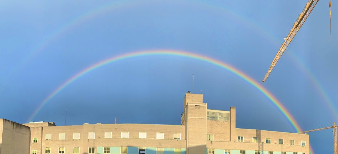 Marina Tocón tweet media