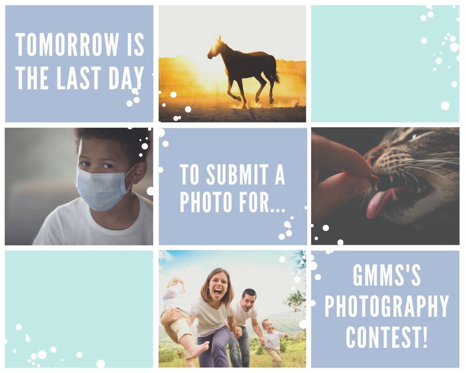 GMMS Student Government tweet media