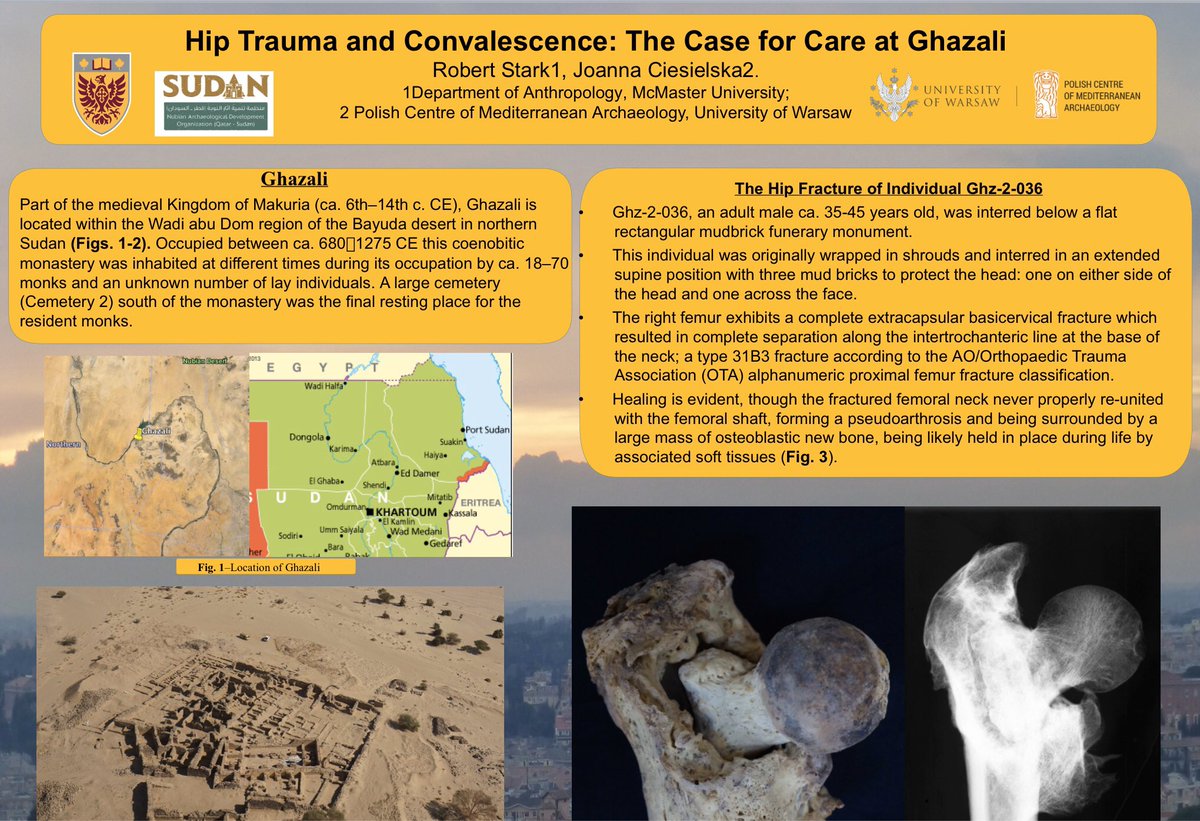 JoannaAC2017's tweet photo. Our poster with @arturobluski and Robert Stark that was supposed to be presented at #AAPA2020 is now available online! https://t.co/n4vMirnX4I #anthropology #archaeology #nubia https://t.co/5VOYWp3qVl