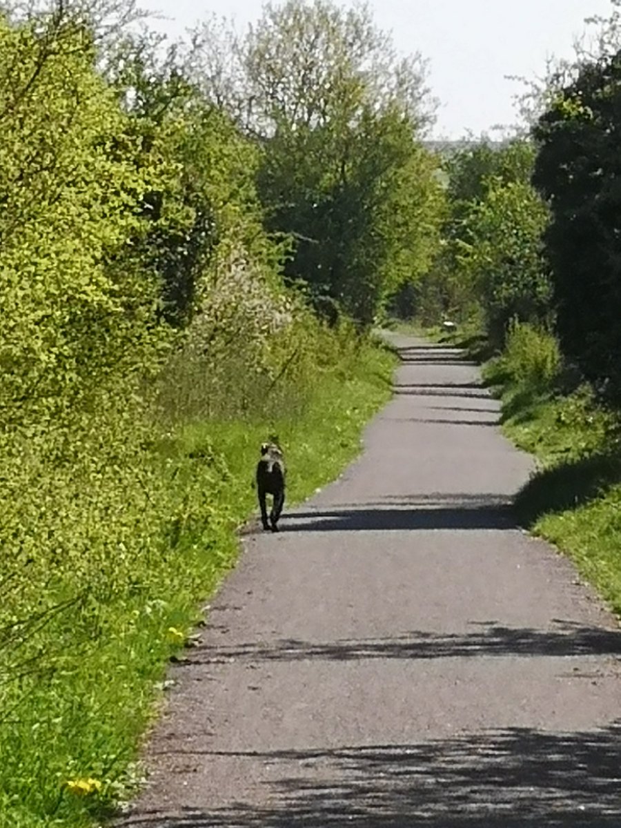 Mrs M Ashby tweet media