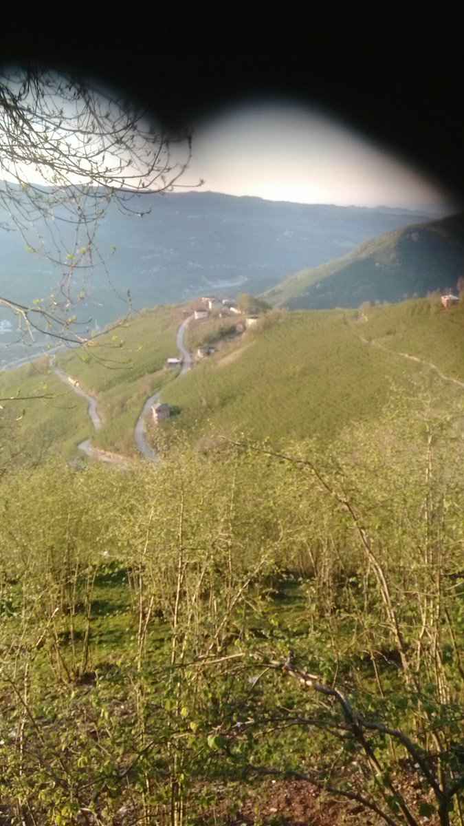 Cift olmayan ciftim diyen ipnelere sesleniyom gunduz cift oluyorsunuz gece piyasada yoksunuz kimsenin arzulariyla oynamam ciflerinde sizin yuzunuzden birbirine itamati kamiyo