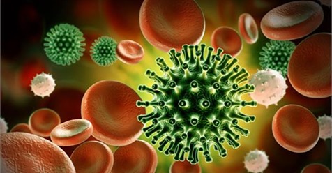 punjabkesari's tweet image. Shocking report: एड्स रोधी वैक्सीन बनाते निकला कोरोना वायरसpunjabkesari.in/international/…
#ShockingReport #Coronavirus #Result