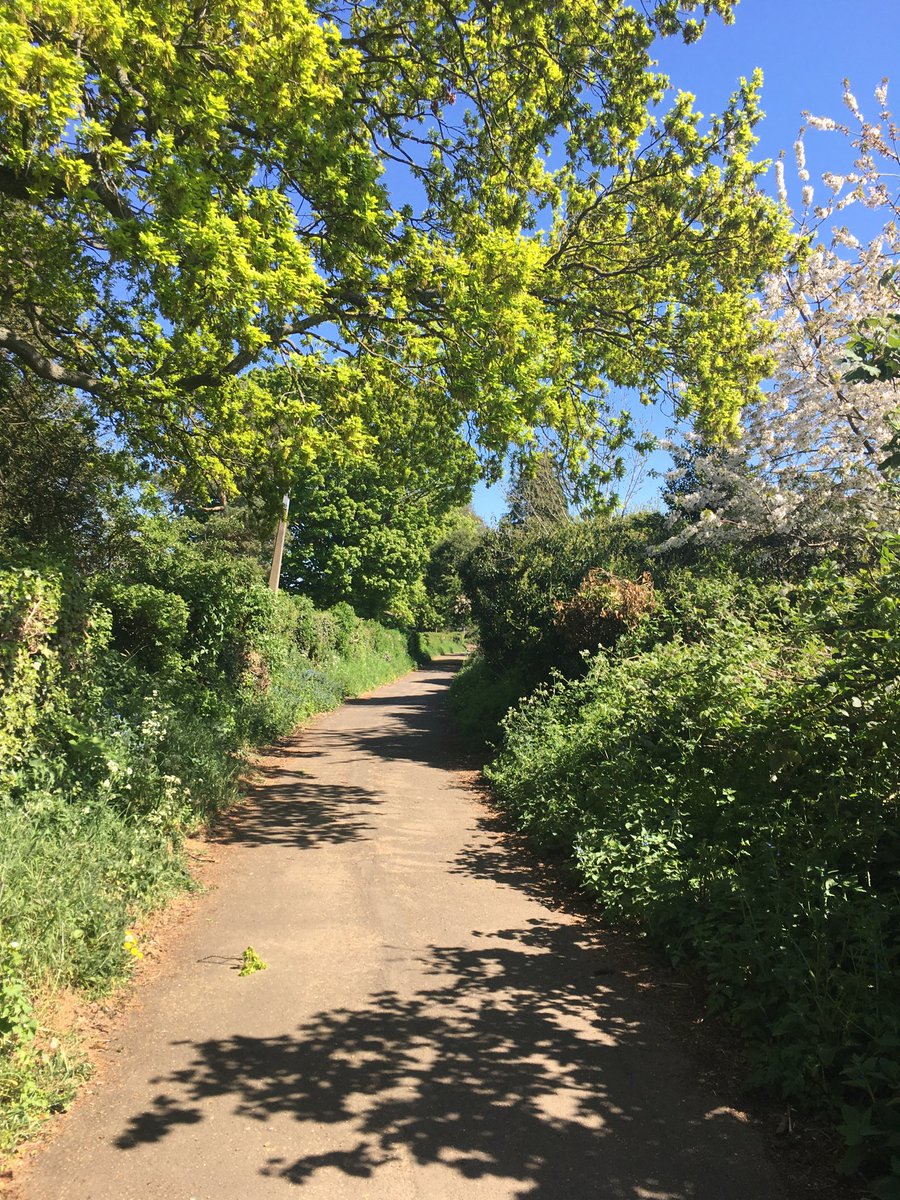 Emma Bumpus On Twitter Nature S Garden This Afternoon Green Therapy Naturetherapy Sundaymotivation Nature Stayhomesavelives