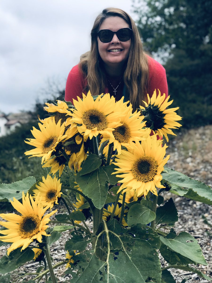 ldconsulting's tweet image. Happy Sunday! 🌻 This was only one sunflower at the beginning of the month. Look at Mother Nature go! 💚