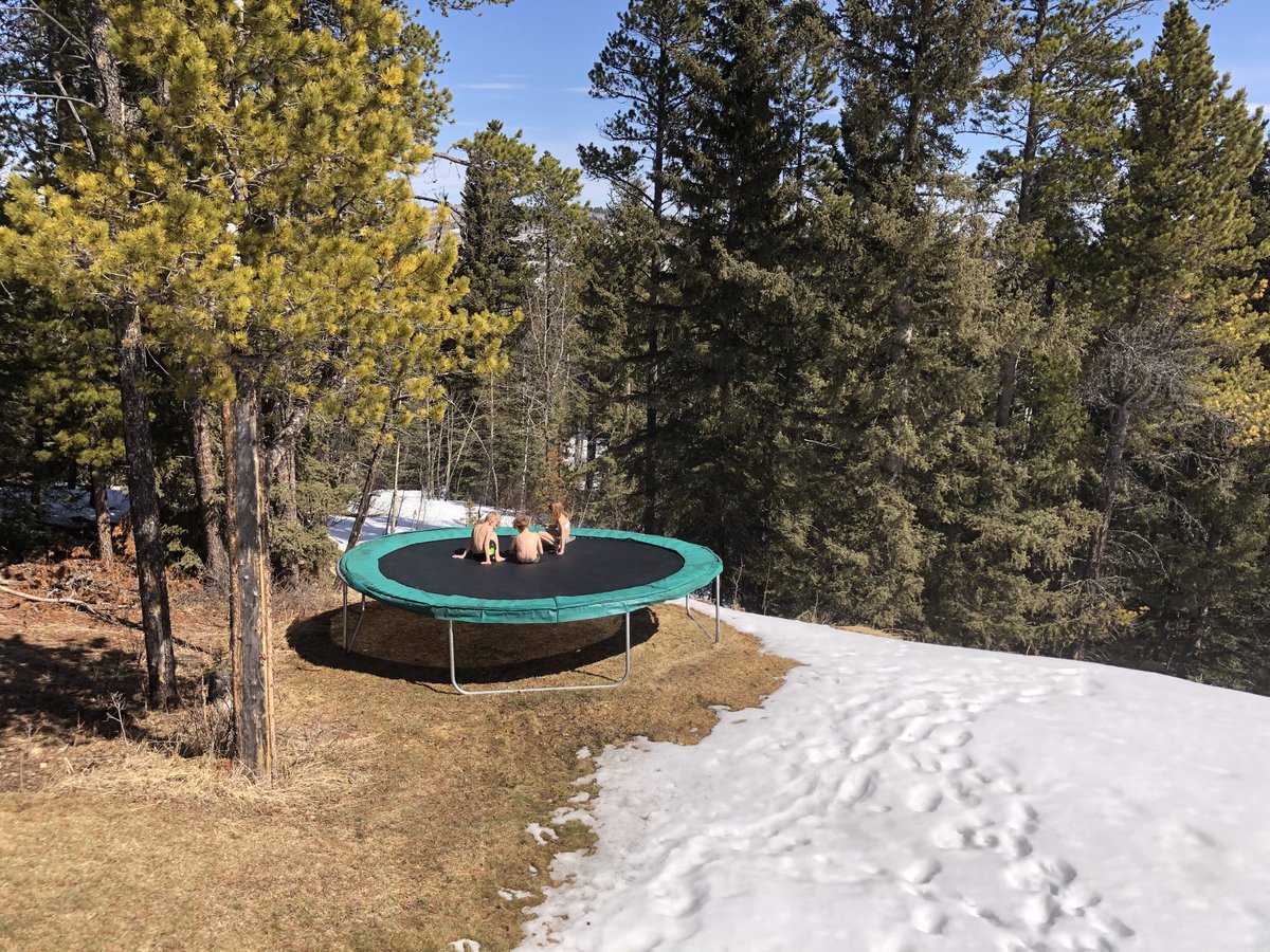 miket136's tweet photo. And finally; #Spring2020 arrives.
#ABweather #PandemicSpringBreak https://t.co/AmrwP748zO