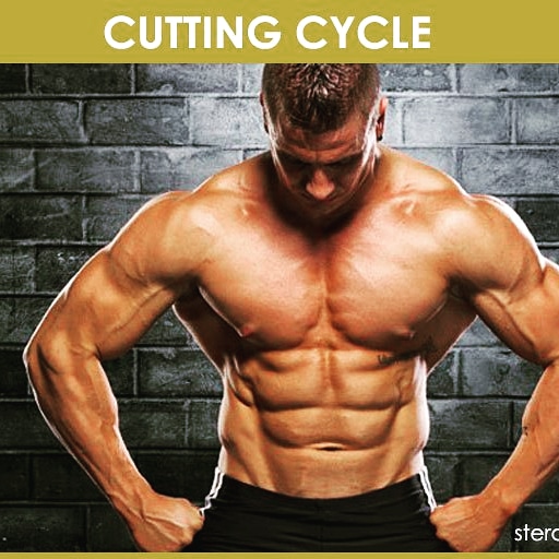 jahangirsaghani's tweet photo. Cutting Cycle Stack: Best Legal Steroids for Cutting and Lean Body [2020]

https://t.co/zXBqUpPNbI

#legalsteroids #cuttingsteroids #cuttingcycle #cuttingstack #fatburningsteroids #steroidsforweightloss #steroidsforcutting #leanmuscle #anavar #clenbuterol #winstrol #steroidcycle https://t.co/MQVSSbaYJW