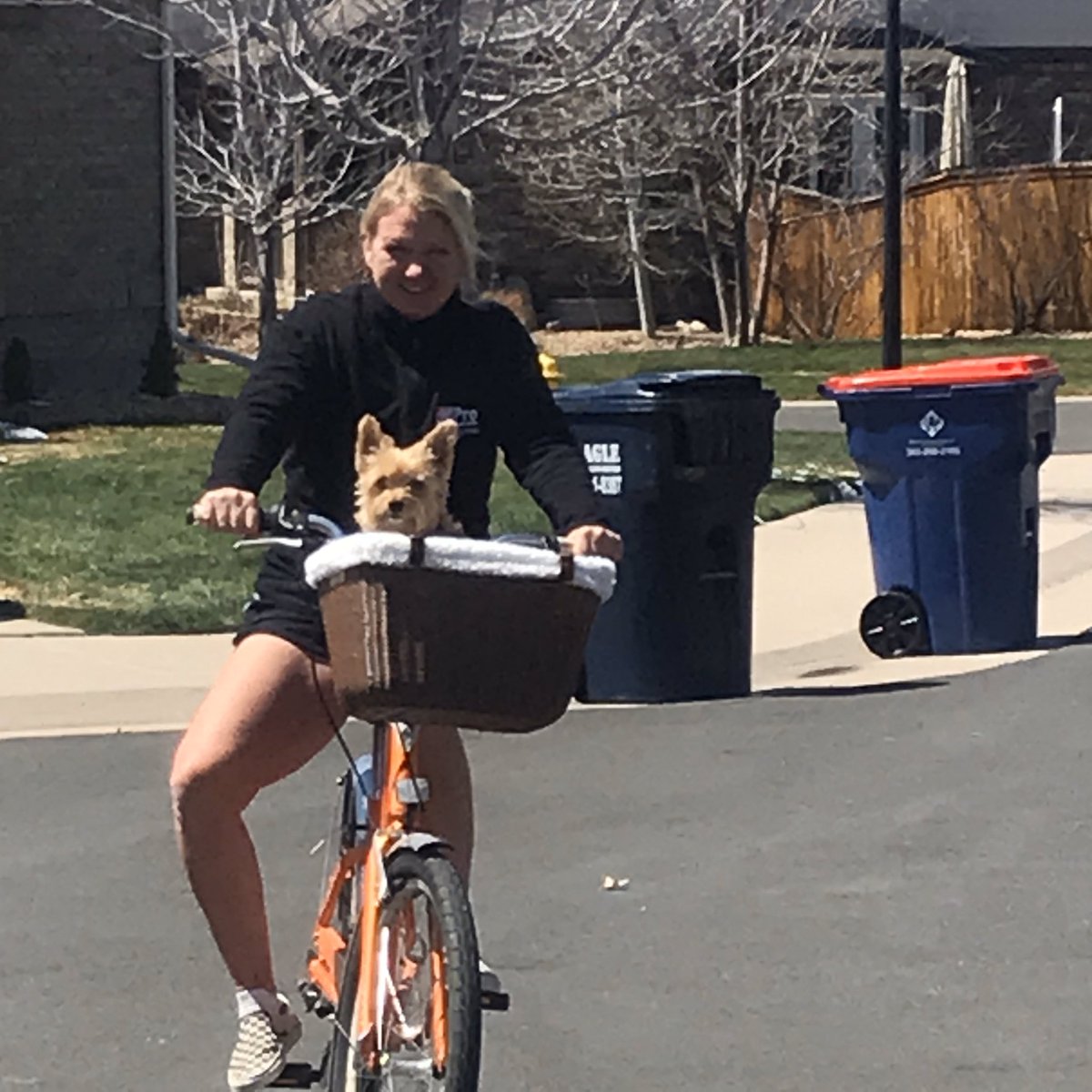 Sofie Price-Lavender tweet media