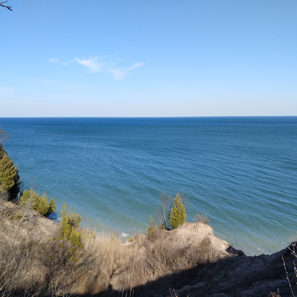 melrebrowrites's tweet photo. God’s Allegory in Nature https://t.co/IvV8n4EmYQ https://t.co/wnFvslkEck