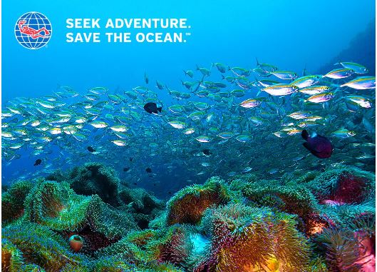 Sea Experience tweet media