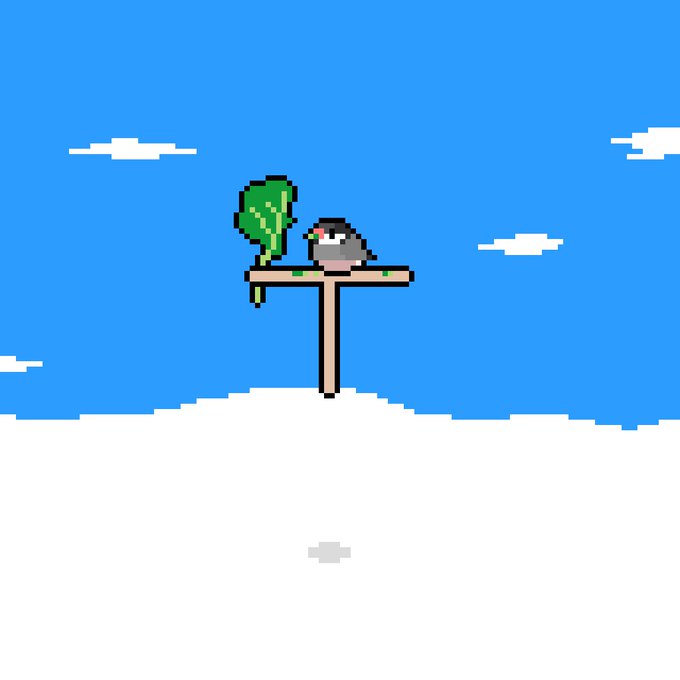 雲の上で楽しむ文鳥 