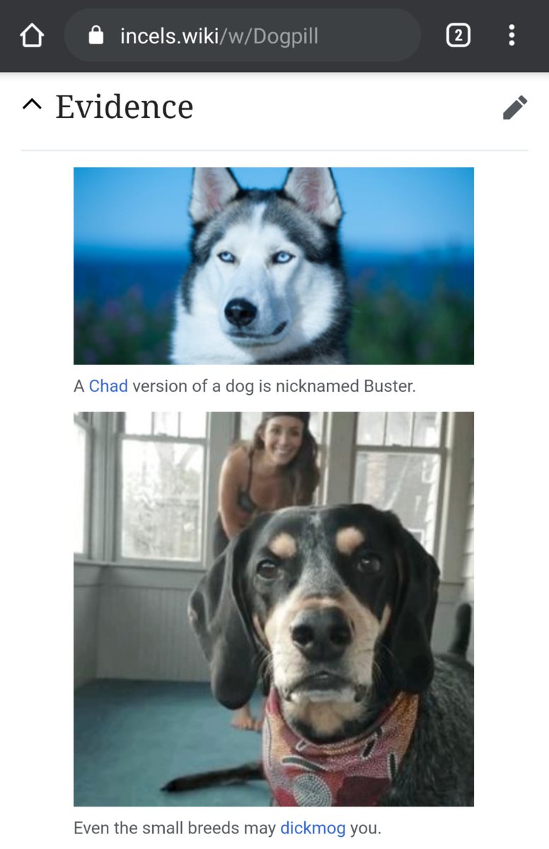 You Cannot Run Away From Me On Twitter If Incel Guys Keep Believing In Dogpill It S Only A Matter Of Time Before Some Actually Starts Doing It Because They Think They Can