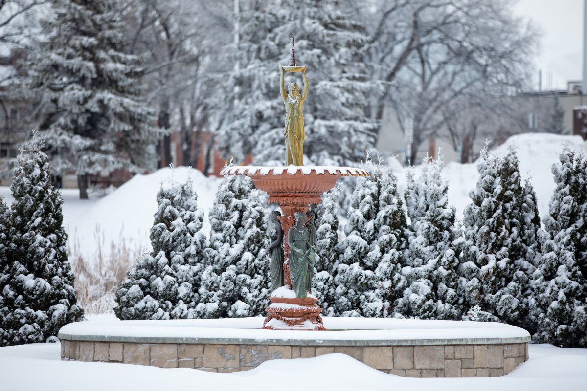U of North Dakota tweet media
