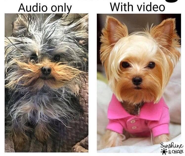 sandy_carter's tweet photo. There must be at least two (2) customer #AWSChime or @zoom_us meetings in a day for me to use hair product!

#cloud #COVID https://t.co/tovsLnTOc6