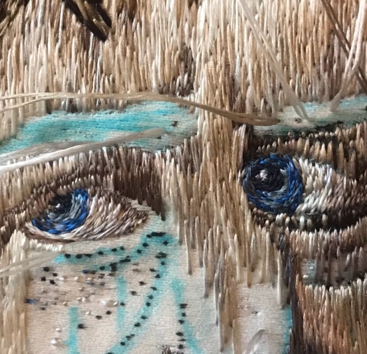 HelenMcCook's tweet photo. More stitching on my embroidered friend today. Pics will be posted when he’s finished. 
#nasjonalmuseet #embroidery #silkthreads  #royal #auverasoie #britishstitcher  #artist #textileartist #artisan #johnjamesneedles #portrait #britishembroidery #britishembroiderer #silkshading https://t.co/fs1AFgqUbG