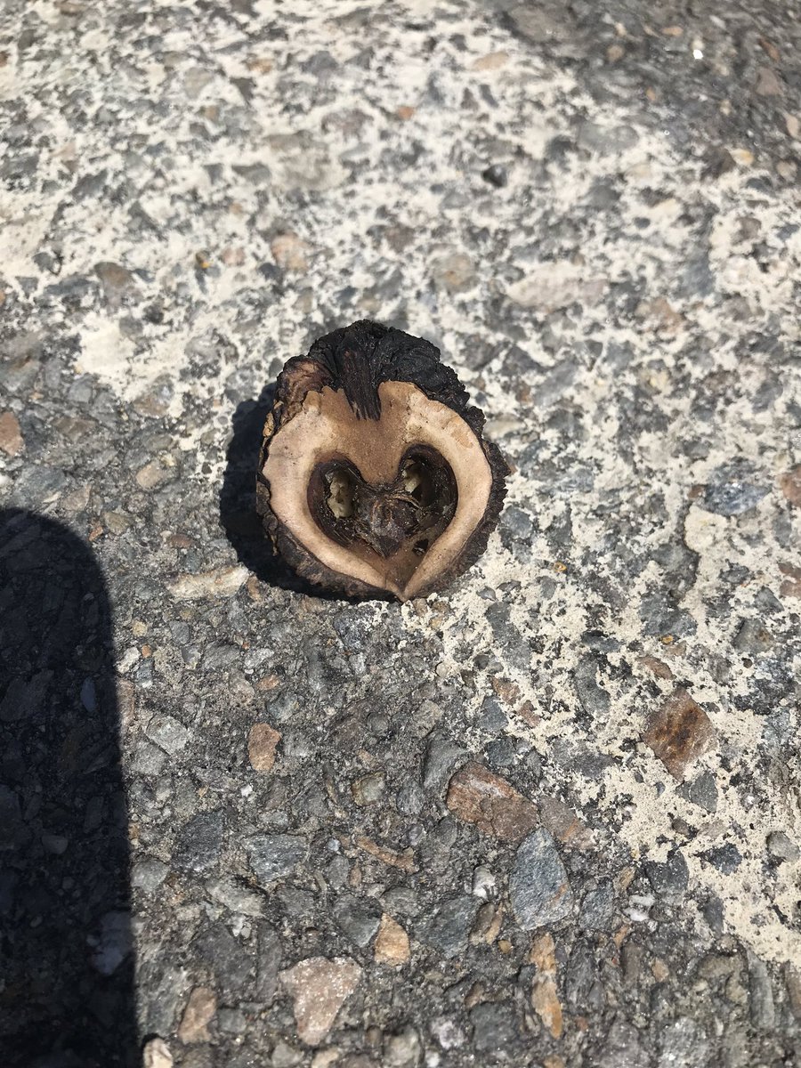 Nabnasset School tweet media