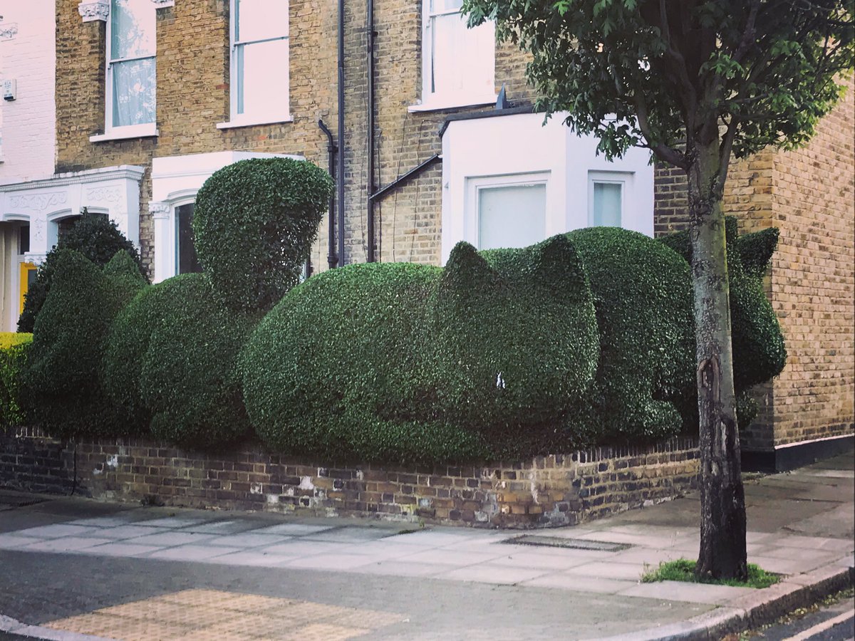 Switched up one of my running routes a bit to help the distancing & came across these awesome cat shaped hedges