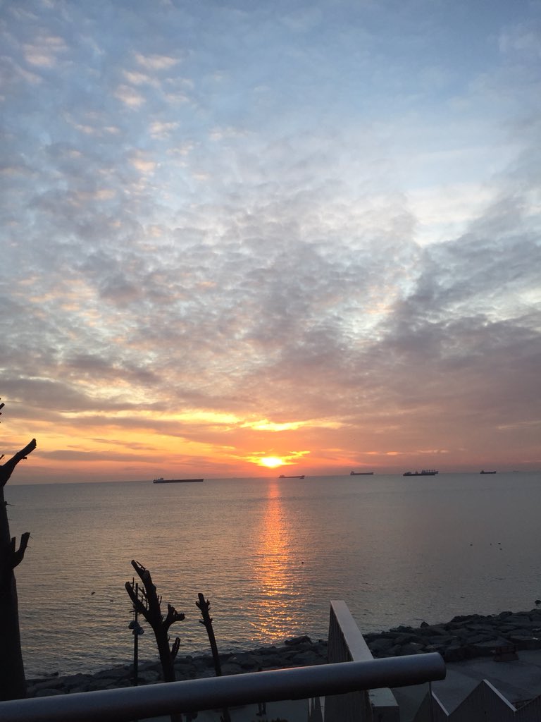 aycalkayaa's tweet photo. @ilginchakkaten https://t.co/8QQsKMacrz