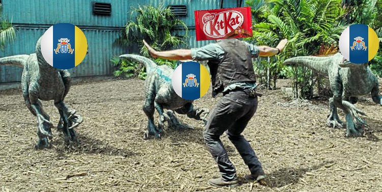 UDLPToday's tweet photo. @isaacfcorrales Kit kat no sabe por dónde le están cayendo las ostias... https://t.co/UGiGPZPQLg