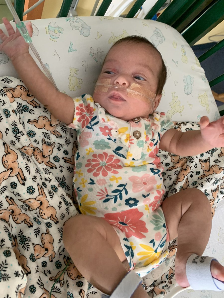 Nathaniel Royer (@thdnathaniel) on Twitter photo Today was the day our beautiful baby girl was able to come home After 103 days in the NICU. Can not show enough appreciation for my team <a href="/SaugusHD/">Saugus Home Depot</a> and the support of my district leadership <a href="/NicoletteH17/">Nicolette Harris</a> <a href="/homedepotjennb/">Jenn Bourque</a>. Thank you! Today was the day our beautiful baby girl was able to come home After 103 days in the NICU. Can not show enough appreciation for my team <a href="/SaugusHD/">Saugus Home Depot</a> and the support of my district leadership <a href="/NicoletteH17/">Nicolette Harris</a> <a href="/homedepotjennb/">Jenn Bourque</a>. Thank you!