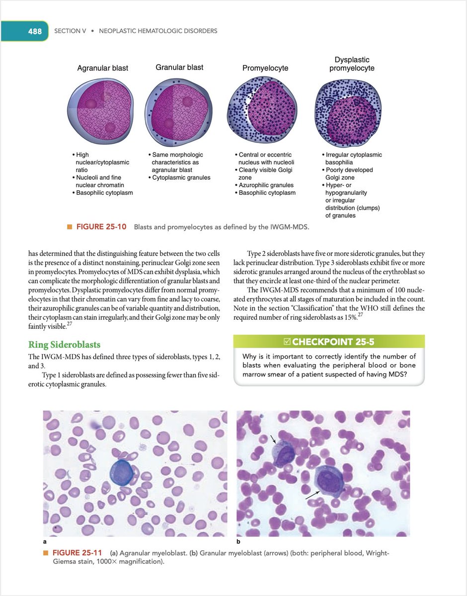 LaboZone's tweet image. استفد من وقتك خلال فترة #الحجر_المنزلي بقراءة هذا الكتاب 
CLINICAL LABORATORY HEMATOLOGY
الرائع،يتكلم عن علم الدم والمواضيع الملمة فيه
طور نفسك ومخزونك من المعلومات بالقراءة 
drive.google.com/file/d/1fvjBZa…
#لاب_زون #مختبرات_طبية