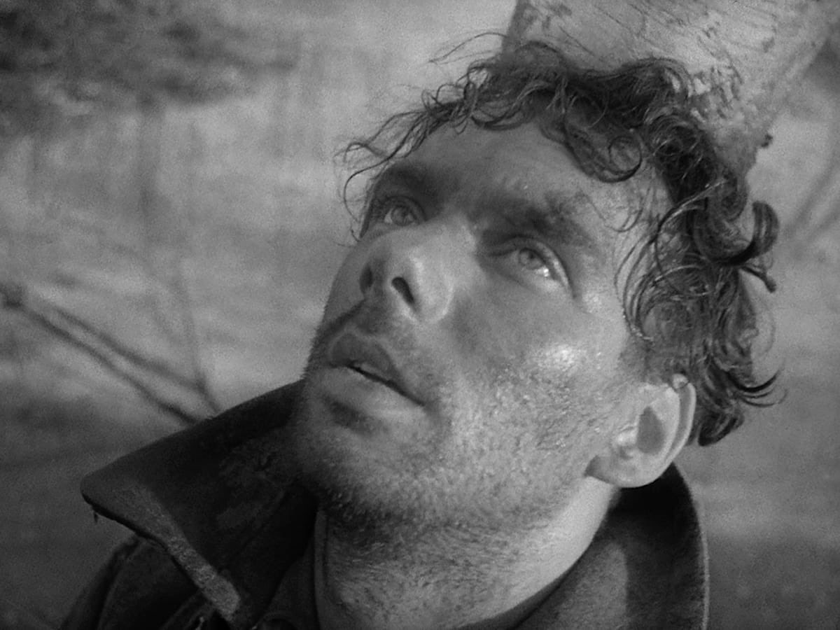 ). к. "летят журавли", 1957 г. «летят журавли» михаила калатозова. калатозова «летят журавли».