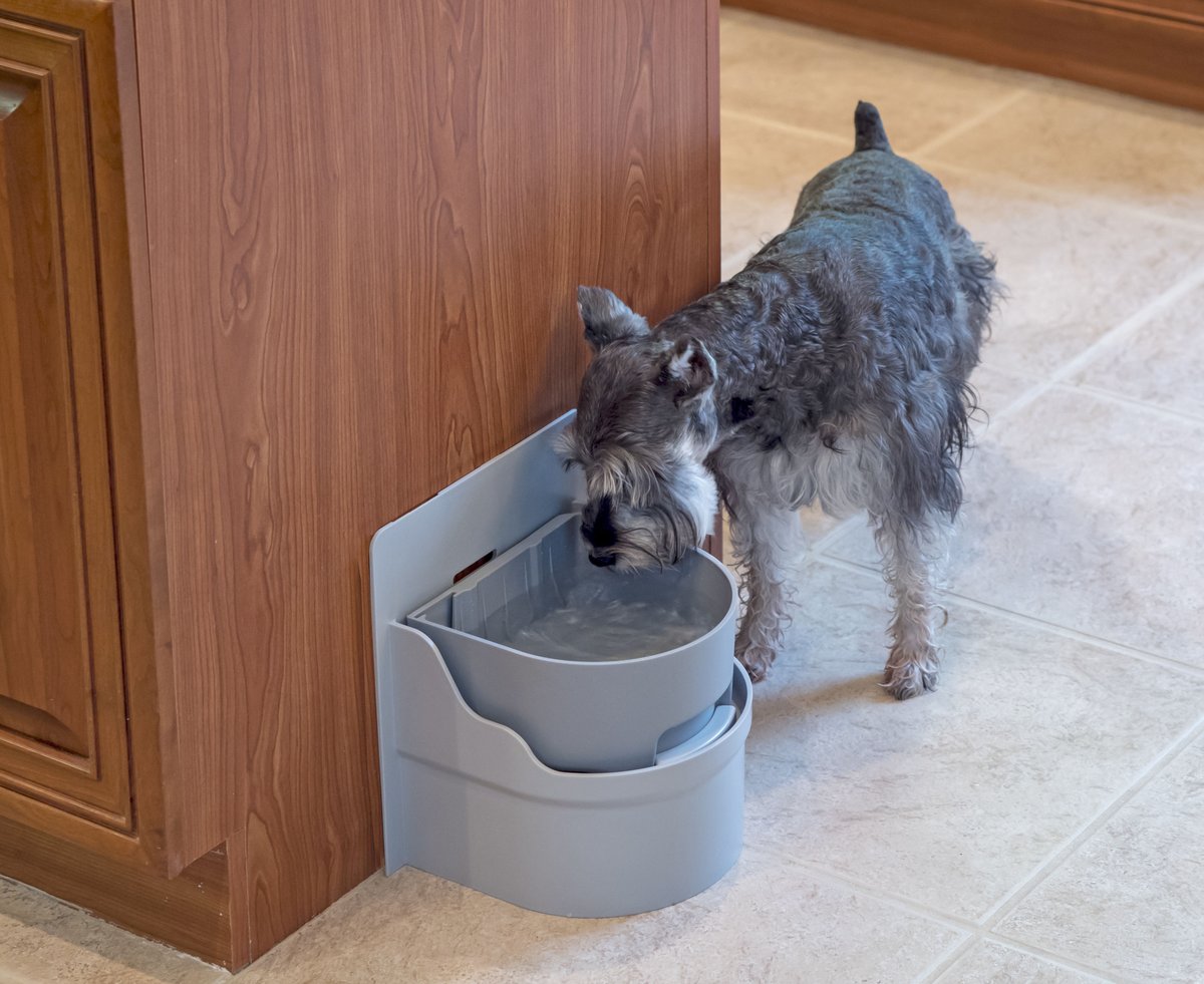 Perpetual__Well's tweet photo. Perpetual Well ensures your 🐶pet🐱 has constant access to a fresh, filtered bowl of water… that never overflows or leaks.
Learn More https://t.co/cSLGa5LmCk
#perpetualwell #neverdry #doghealth #petcare #waterbowl #invention #inventions #dog #doglife #doglovers #cats #catcare https://t.co/rlq7TXMV7x