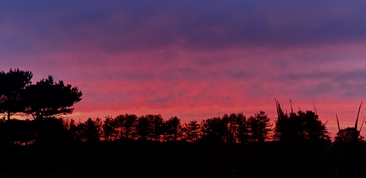 JerseyBird_'s tweet photo. #Sunset #currentView #beautifulJersey #weekendBeauty #stunningSunset https://t.co/QwSLqrMpFN