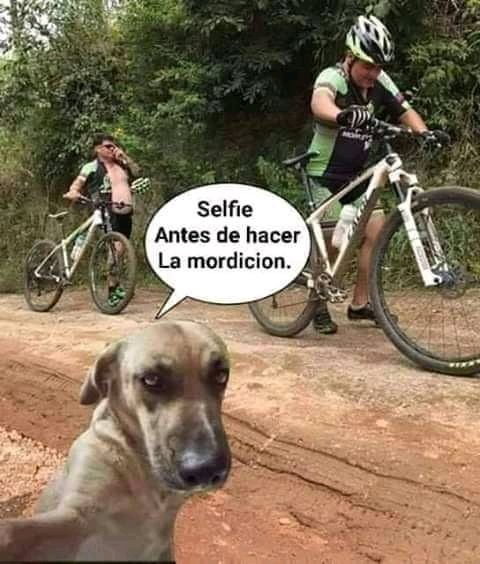 betamaxpower's tweet photo. #Perritu https://t.co/69hTsQLN4A