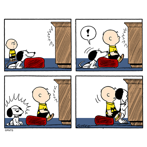 Snoopy's tweet photo. Constantly fighting for TV space. https://t.co/oUgJJBfkHj