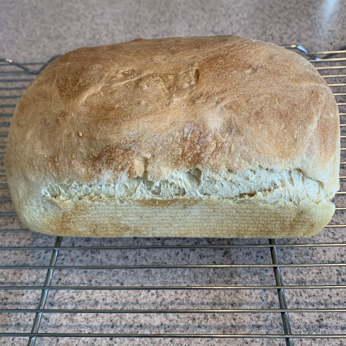 I don’t even eat bread but I made a sourdough loaf for my husband who does. #sourdough