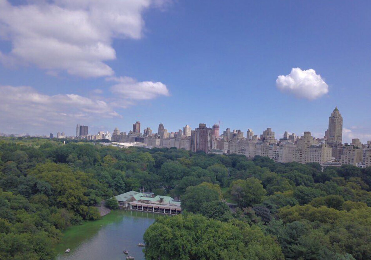 FordhamToyota's tweet photo. 📍Pelham Bay Park #bronx #newyork #intheboogiedown #everydayBronx #lovingthebronx #thebronx #bronxviews #welcome2thebronx #nyc #bronxny #ilovethebronx #bronxnation #boogiedownbronx #bronxny #bronxnative #park #trees
. https://t.co/ENxpUQpfuF